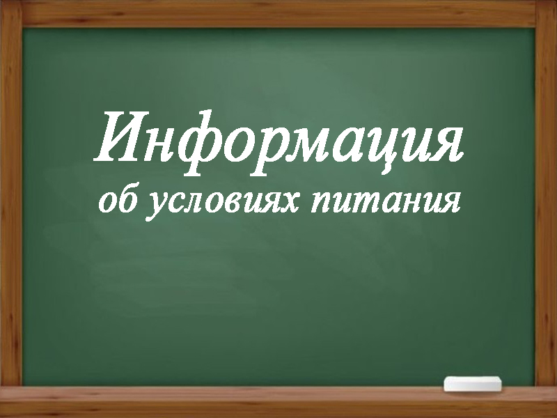 Информация об условиях питания обучающихся.
